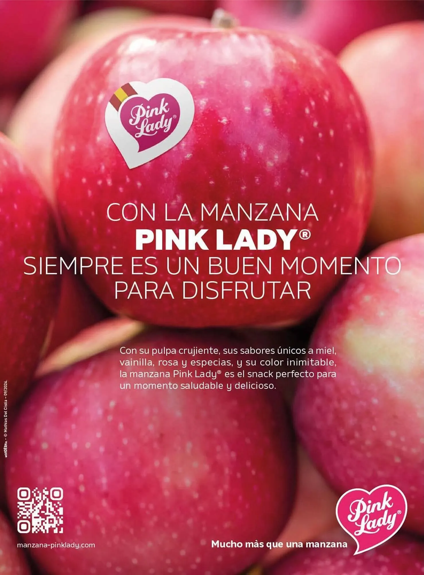 Catálogo de Catálogo Costco 25 de septiembre al 30 de noviembre 2025 - Página 11