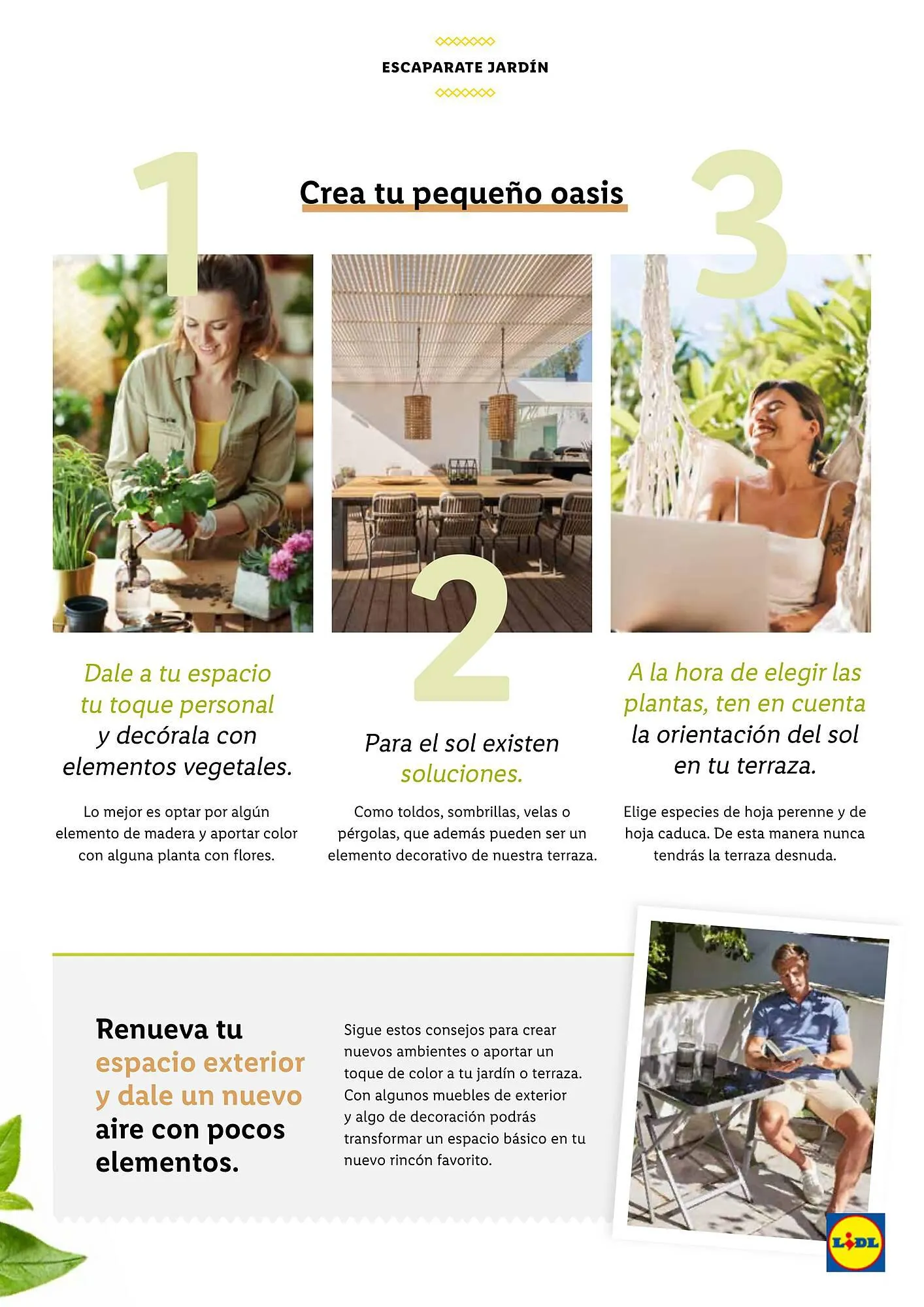 Catálogo de Folleto inLidl 1 de abril al 30 de abril 2024 - Página 31