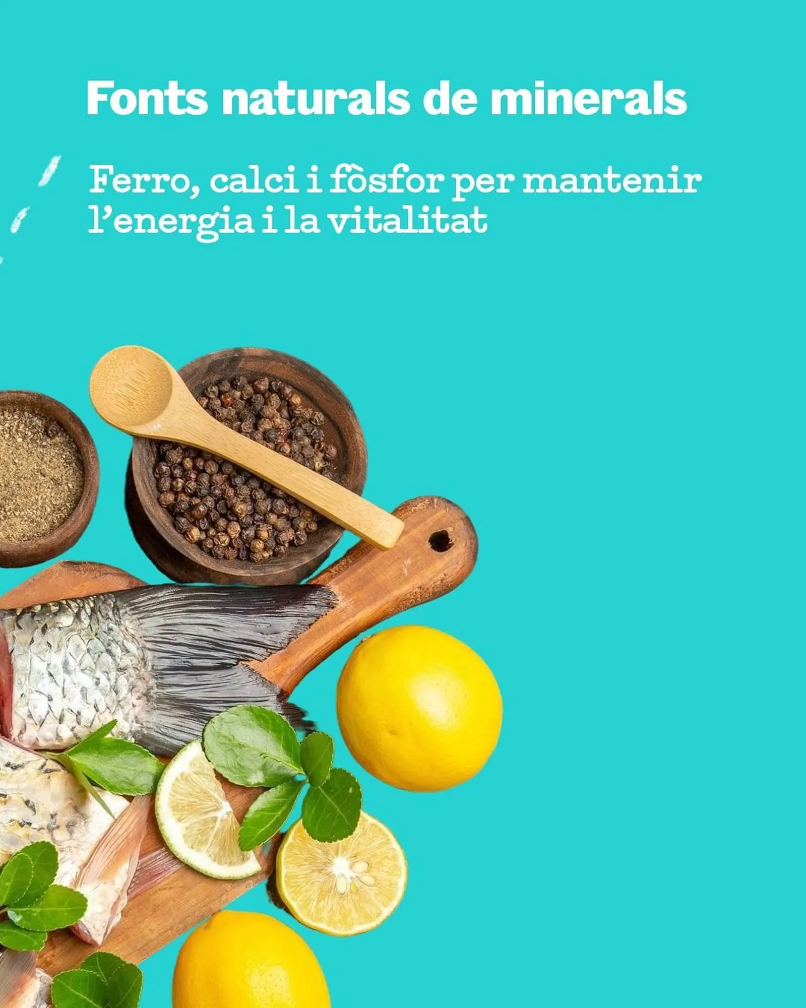 Catálogo de Catálogo Sorli 14 de octubre al 2 de noviembre 2025 - Página 4