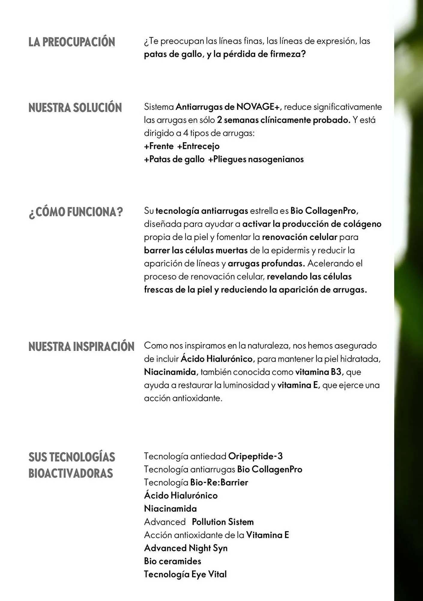 Catálogo de Catálogo Oriflame 10 de septiembre al 31 de diciembre 2025 - Página 9