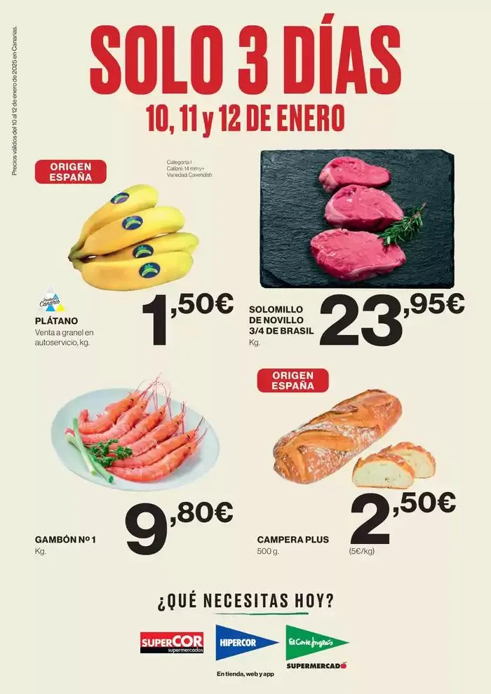 Catálogo de SOLO 3 DÍAS Canarias 10 de enero al 12 de enero 2025 - Página 1
