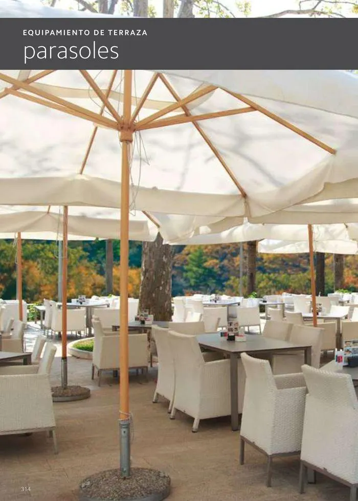 Catálogo de Equipamiento y suministros 23 de julio al 30 de noviembre 2024 - Página 314