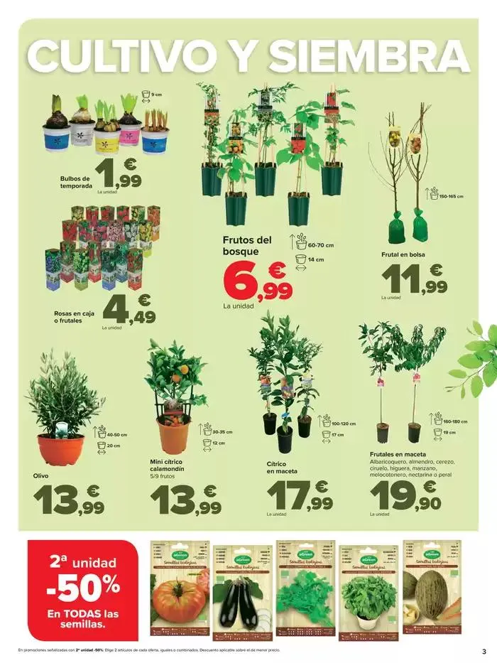Catálogo de  JARDÍN 20 de febrero al 13 de marzo 2025 - Página 3