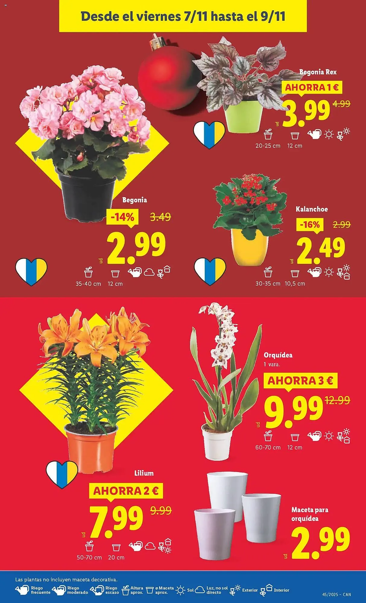 Catálogo de Catálogo Lidl 3 de noviembre al 9 de noviembre 2025 - Página 35