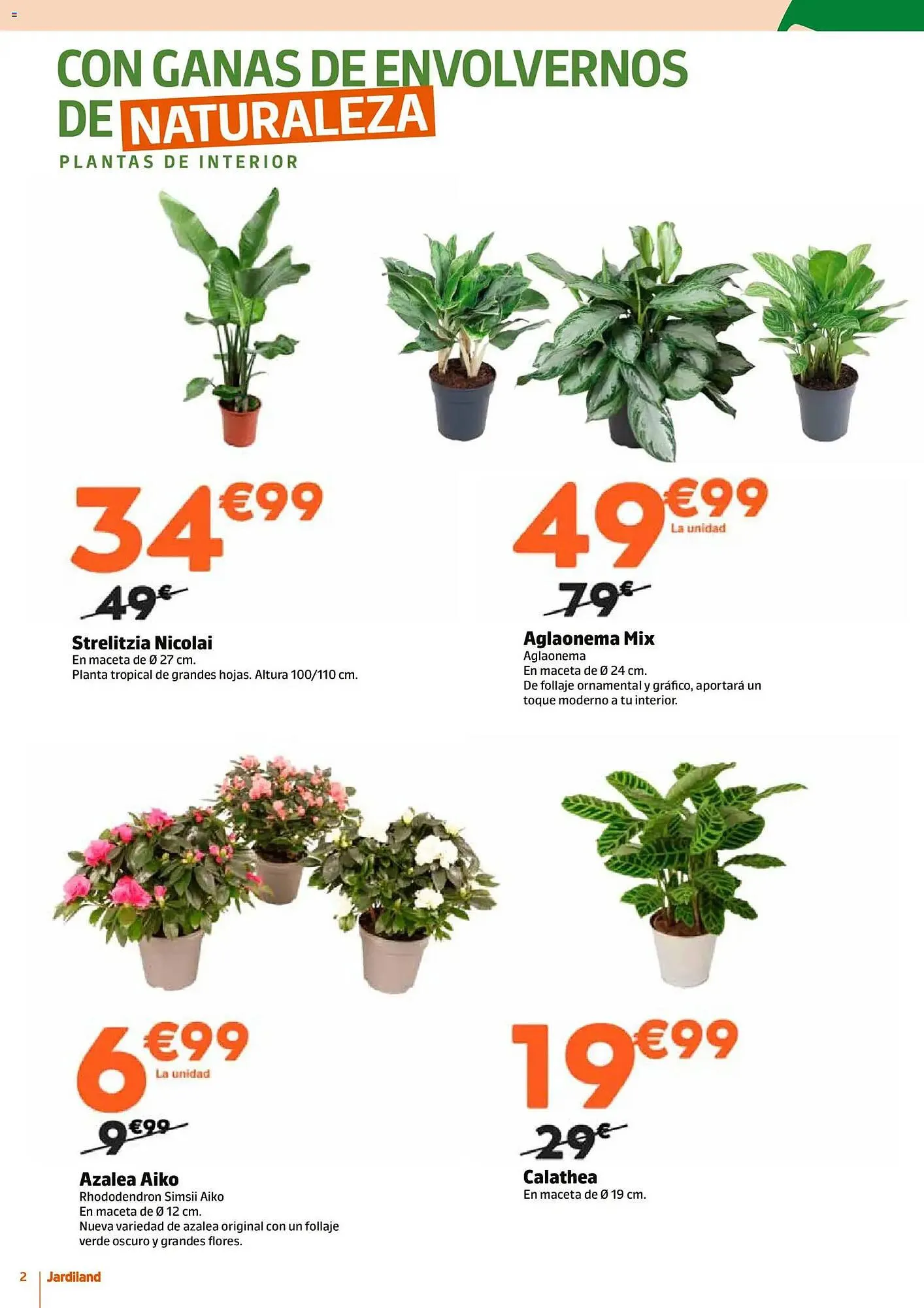 Catálogo de Catálogo Jardiland 15 de enero al 1 de febrero 2026 - Página 2