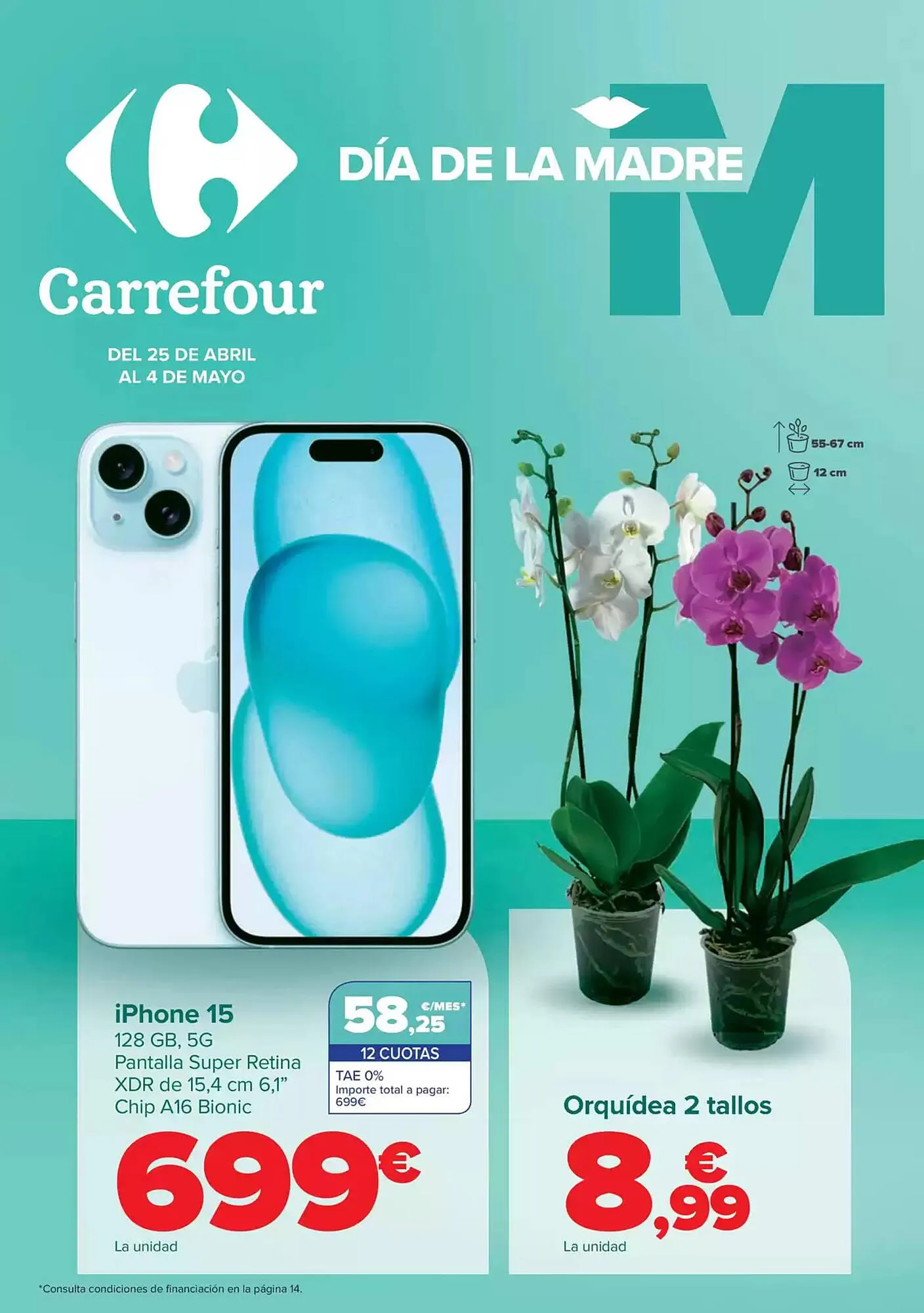 Catálogo de Folleto Carrefour 25 de abril al 4 de mayo 2025 - Página 1