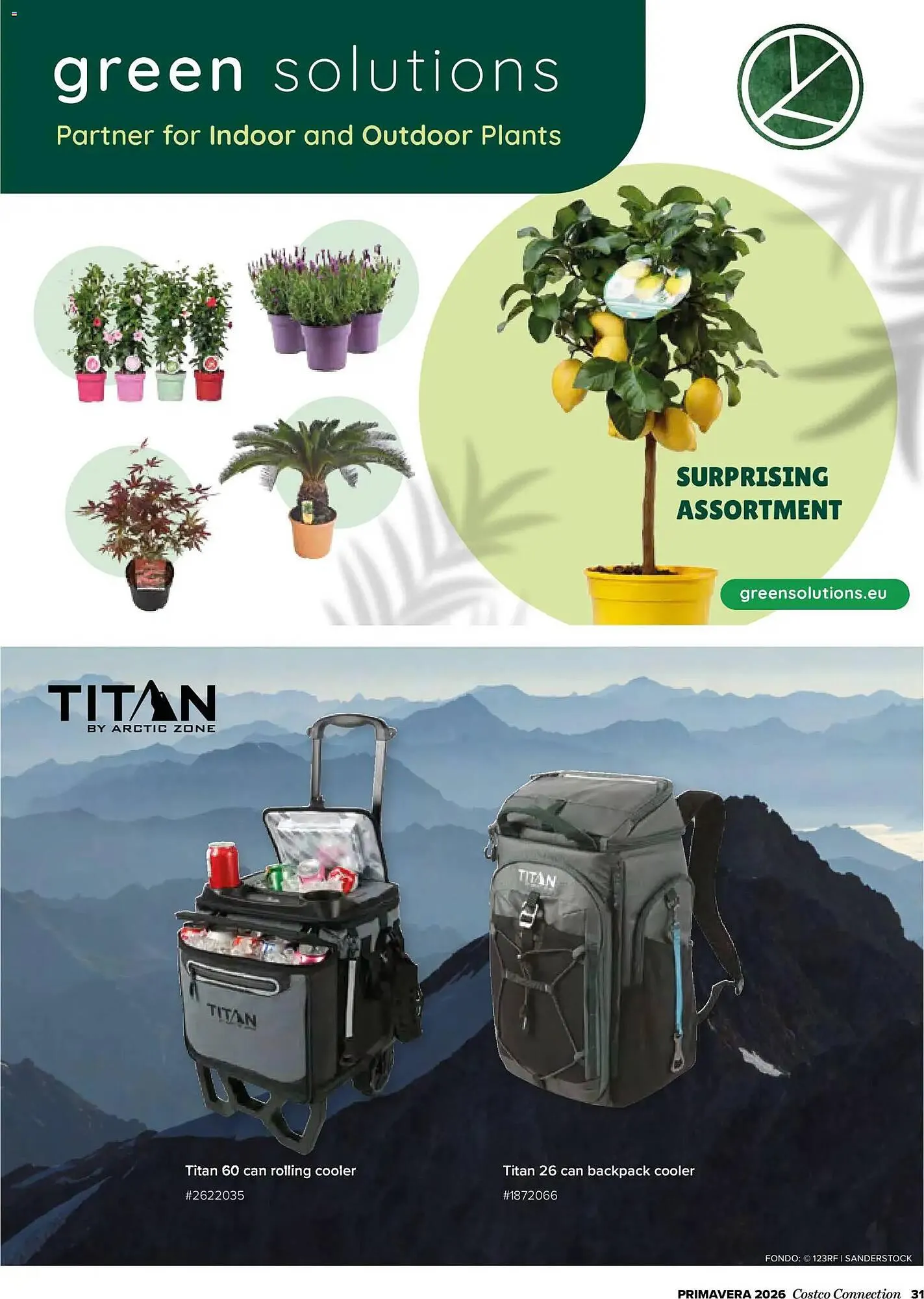 Catálogo de Catálogo Costco 19 de marzo al 31 de mayo 2026 - Página 31