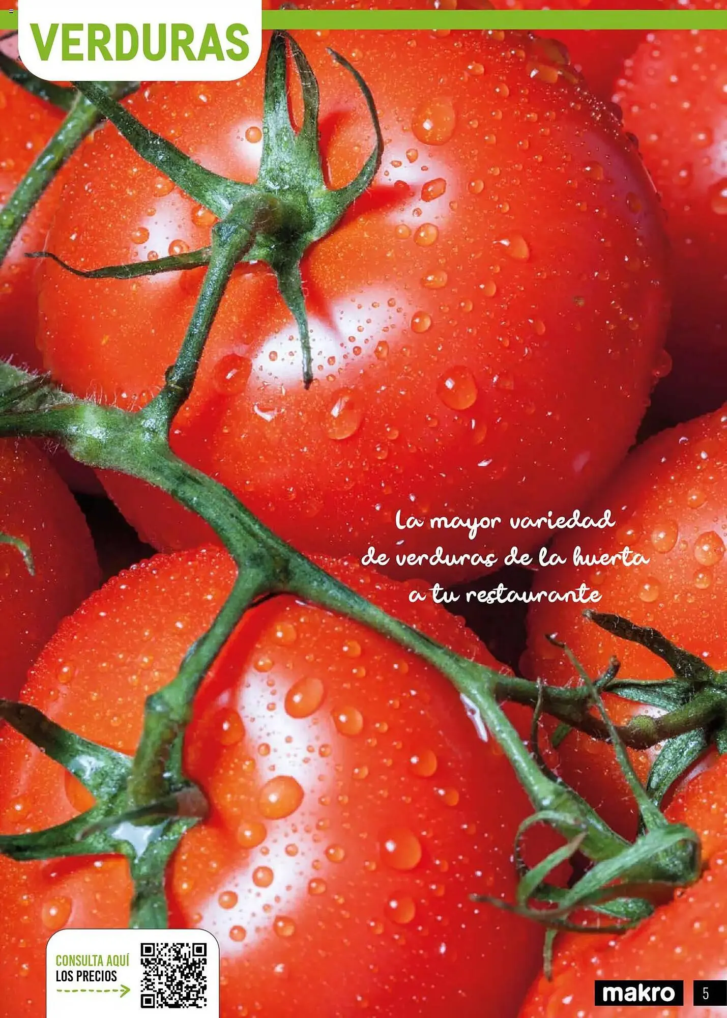 Catálogo de Catálogo Makro 5 de enero al 5 de julio 2026 - Página 5