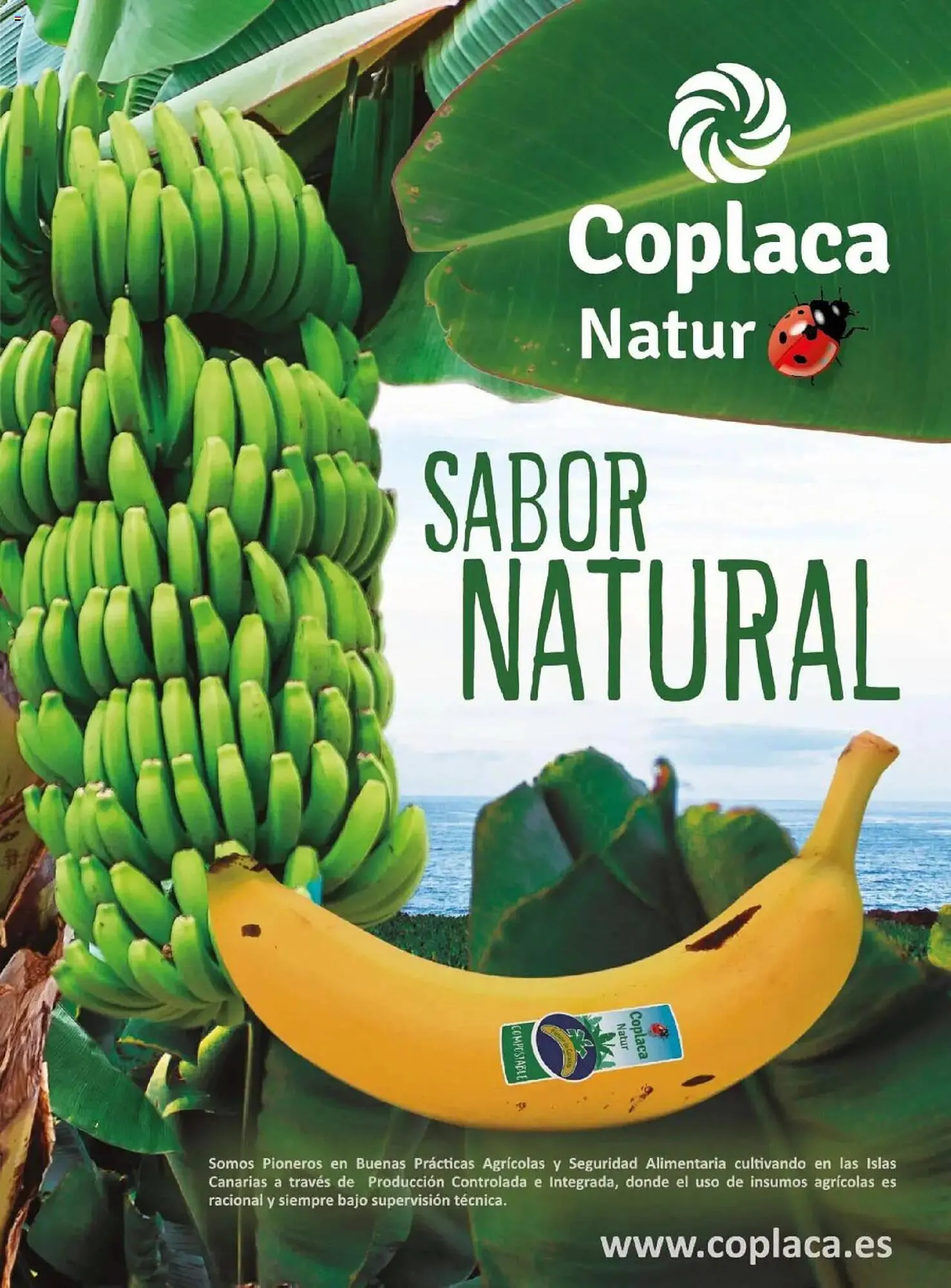 Catálogo de Folleto Costco 8 de abril al 31 de julio 2025 - Página 101