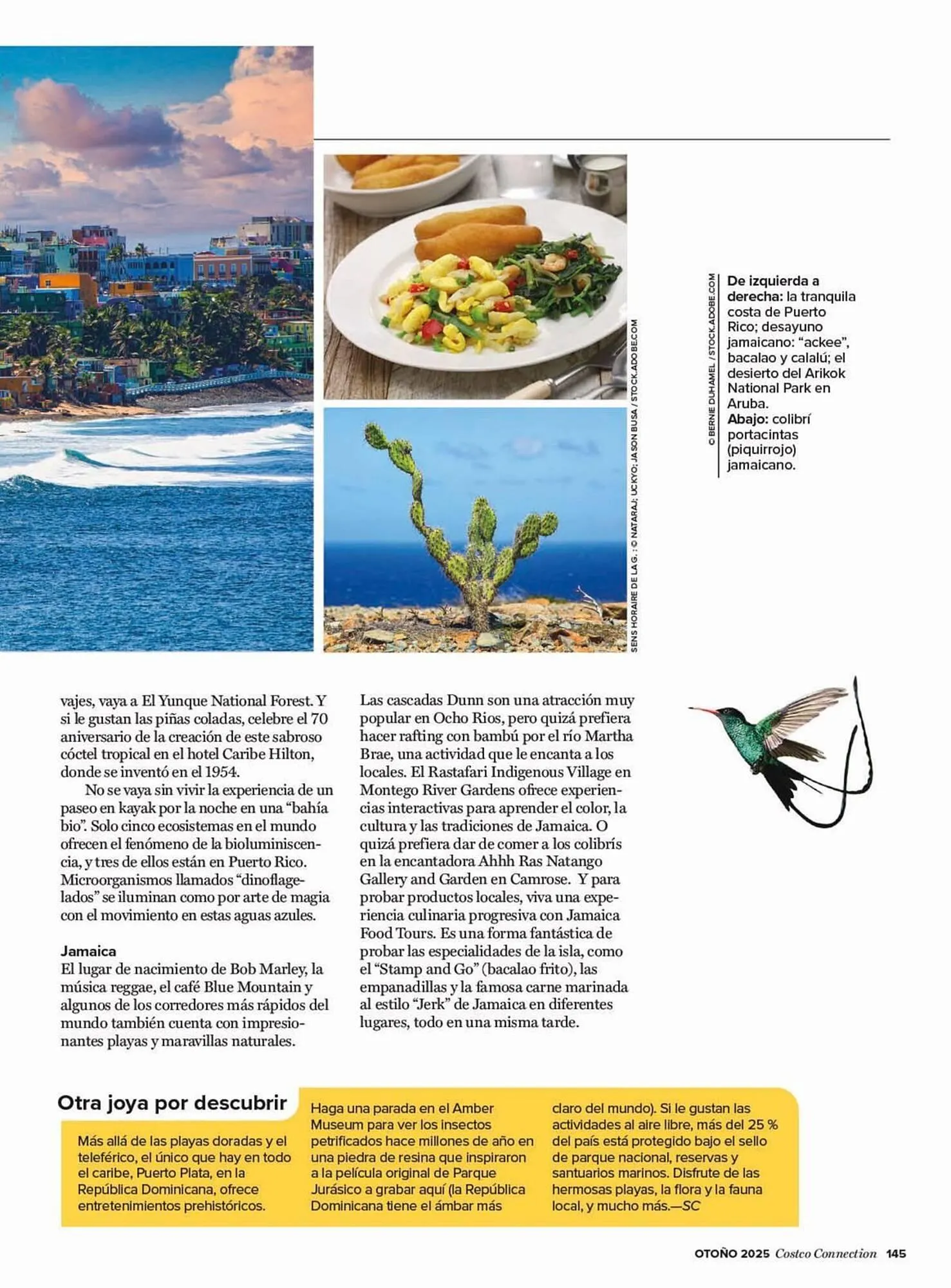 Catálogo de Catálogo Costco 25 de septiembre al 30 de noviembre 2025 - Página 145