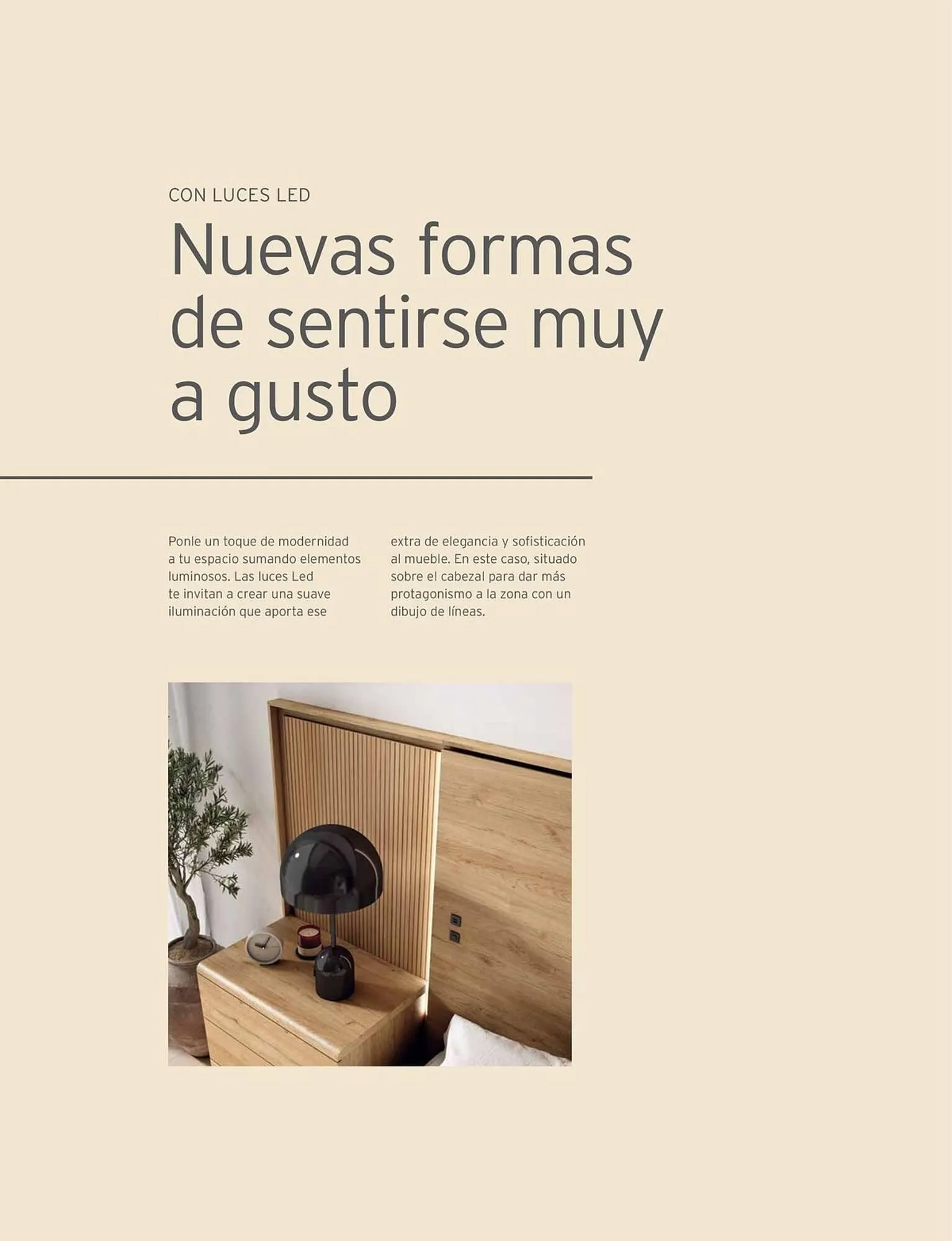 Catálogo de Catálogo Kibuc 5 de enero al 31 de diciembre 2026 - Página 33