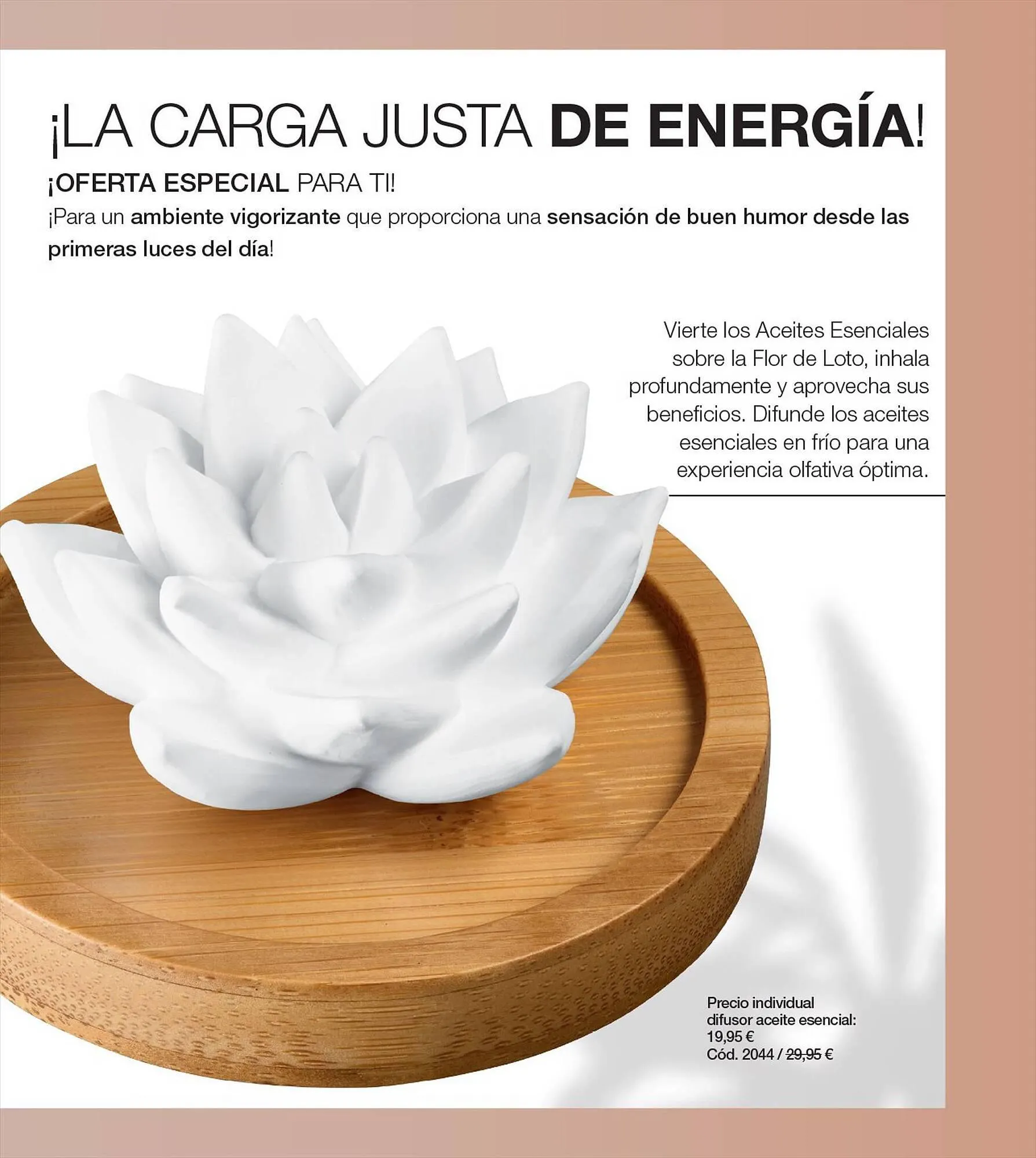 Catálogo de Folleto Stanhome 27 de junio al 16 de julio 2023 - Página 19