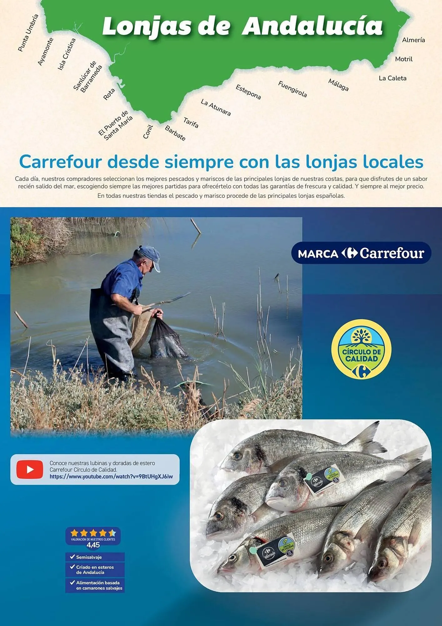 Catálogo de Folleto Carrefour 10 de noviembre al 23 de noviembre 2025 - Página 2