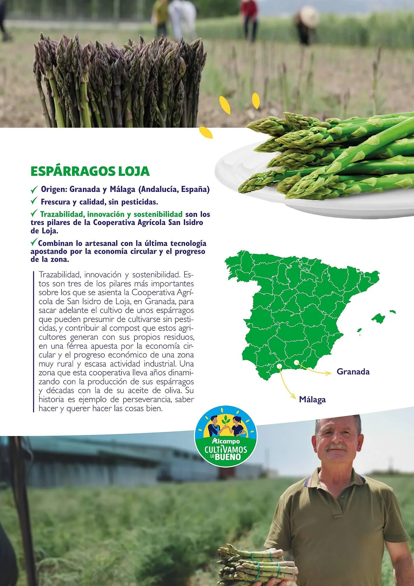 Catálogo de Folleto Alcampo 23 de abril al 31 de diciembre 2025 - Página 40