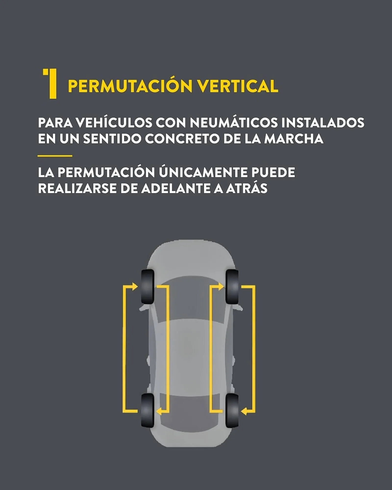 Catálogo de Folleto Rodi 6 de mayo al 19 de mayo 2025 - Página 2