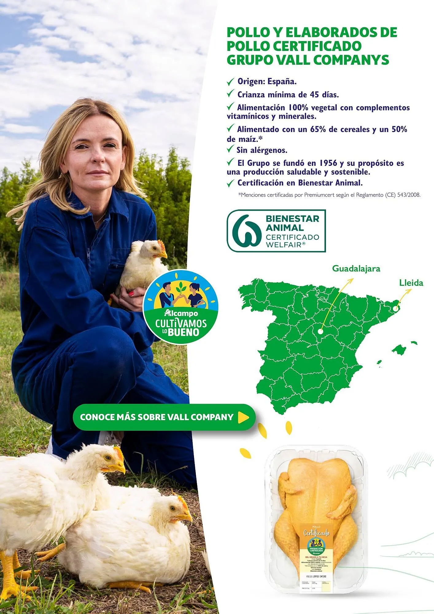 Catálogo de Folleto Alcampo 23 de abril al 31 de diciembre 2025 - Página 12