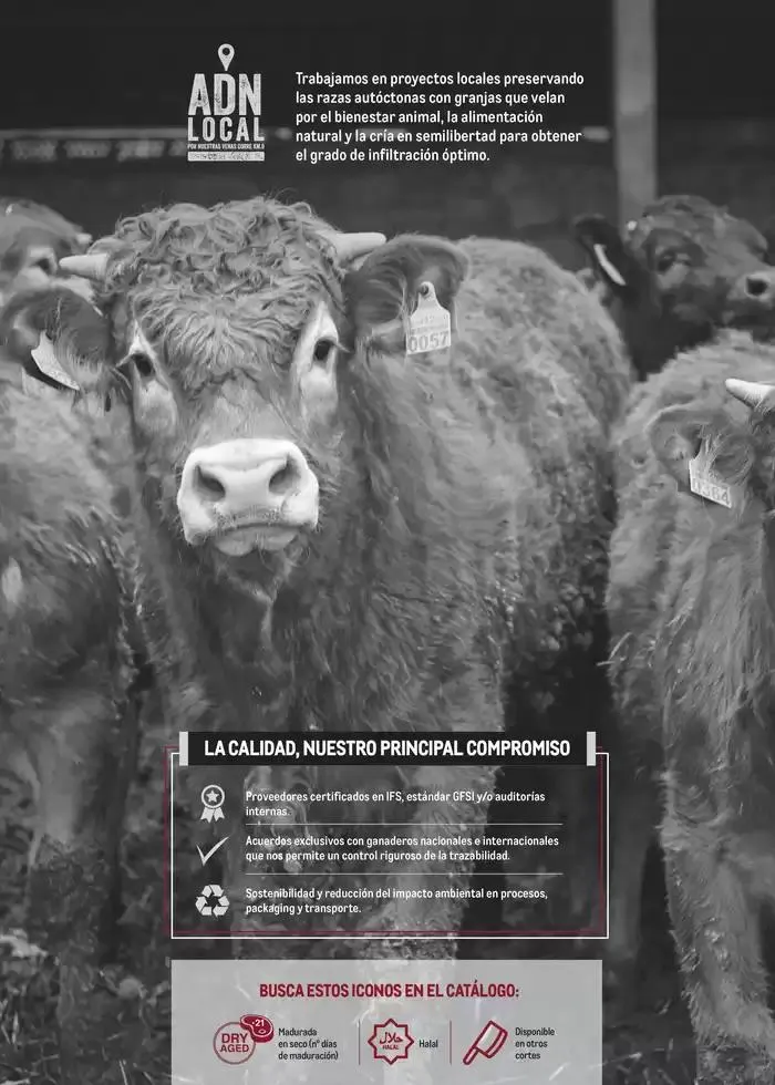 Catálogo de Especial Carnes Canarias 7 de abril al 4 de mayo 2025 - Página 2