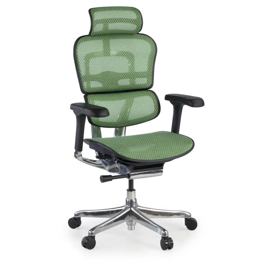 Silla ergonómica ejecutiva Ergohuman Elite, estructura negra - Verde