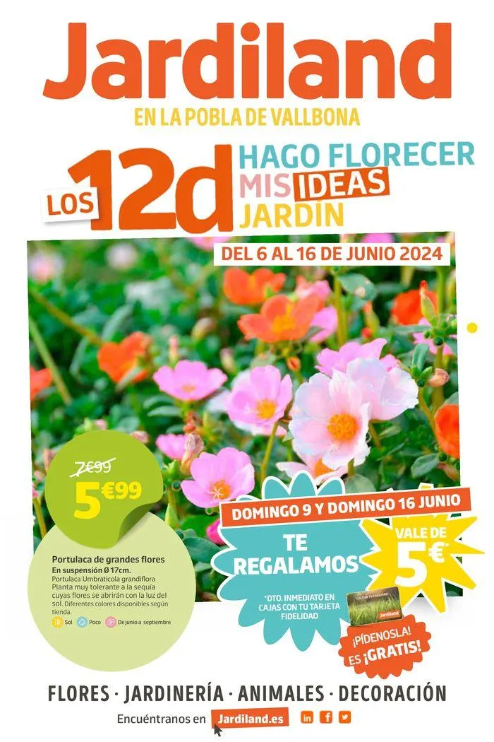Los12d - 1