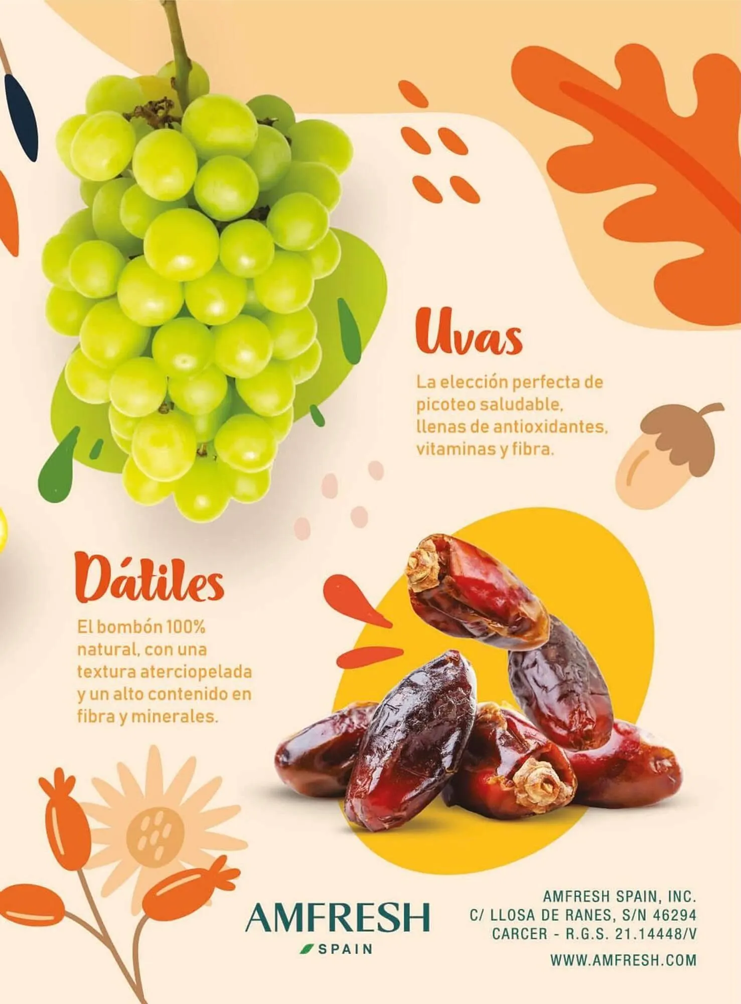 Catálogo de Catálogo Costco 25 de septiembre al 30 de noviembre 2025 - Página 21