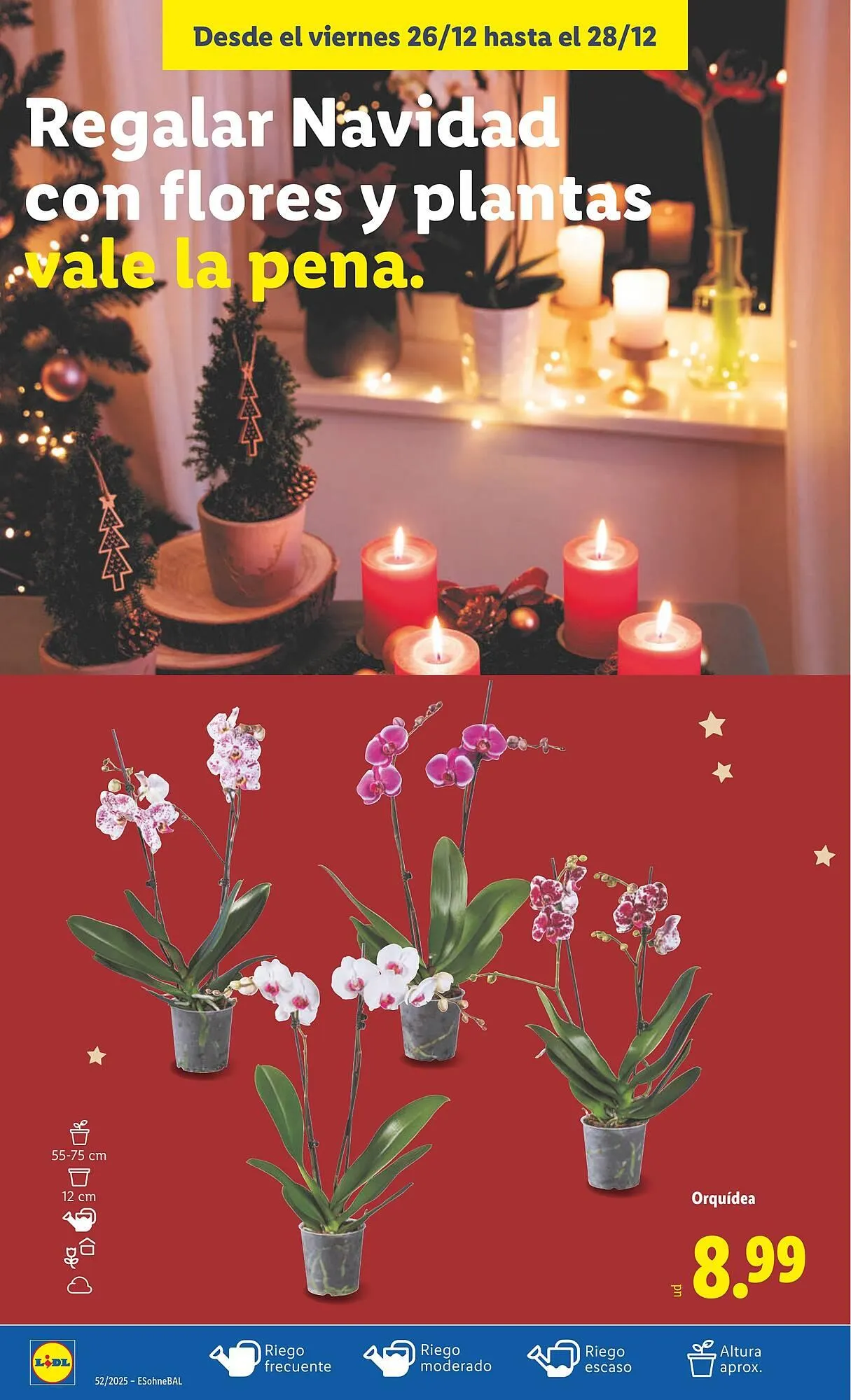 Catálogo de Catálogo Lidl 22 de diciembre al 28 de diciembre 2025 - Página 52