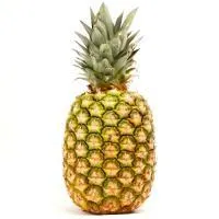 Piña de Centro América, pieza al peso apox. 1.9 kg