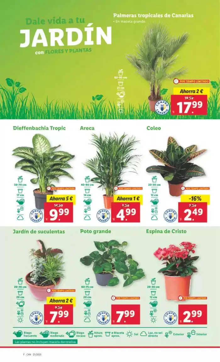 Catálogo de ¡Bazar Lidl! Ofertas válidas del 19/05 al 25/05 19 de mayo al 25 de mayo 2025 - Página 12