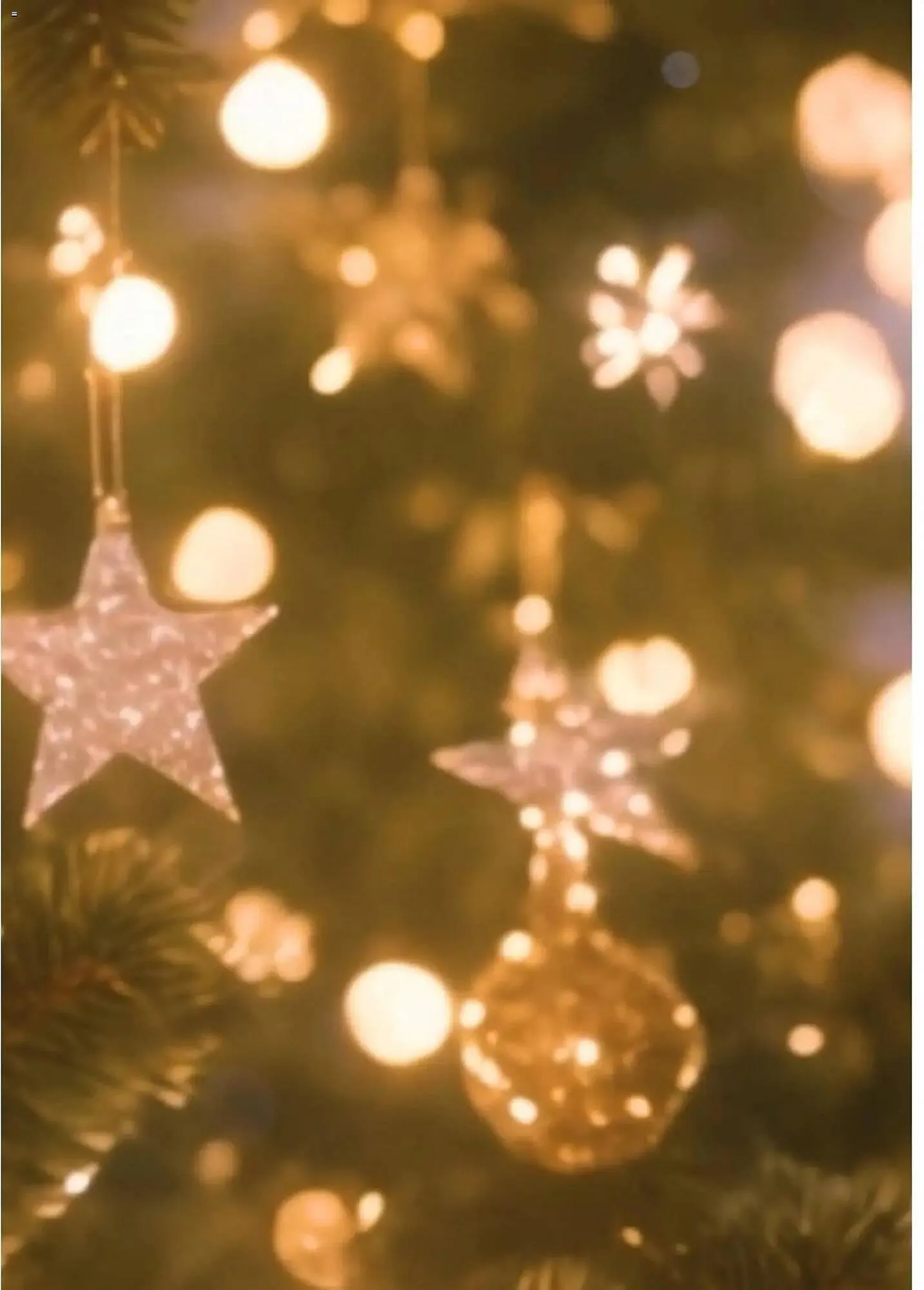 Catálogo de Catálogo Bauhaus 5 de noviembre al 24 de diciembre 2025 - Página 48