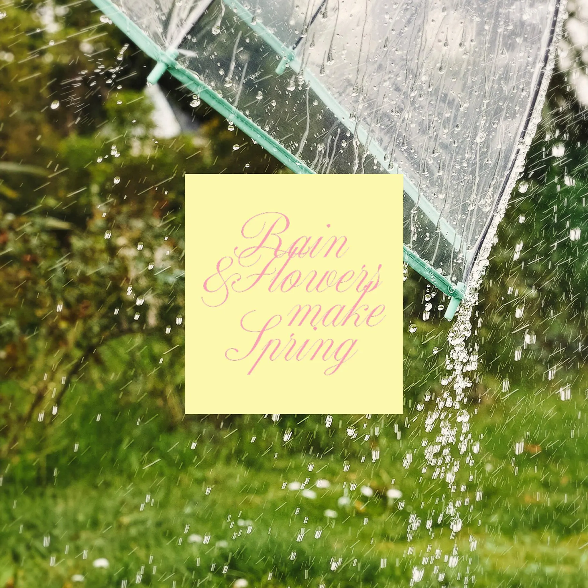 Catálogo de Folleto Terranova 16 de abril al 2 de mayo 2026 - Página 3