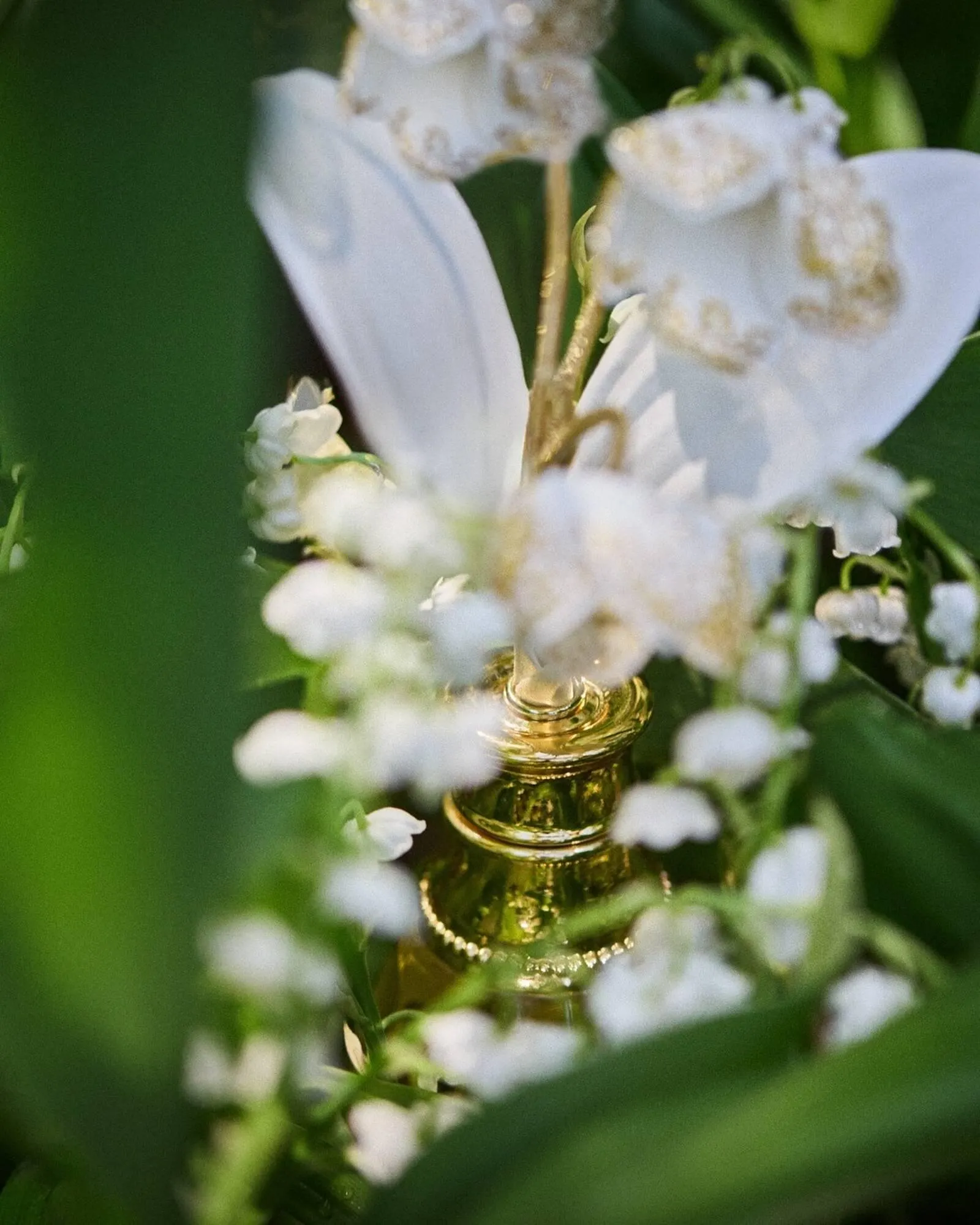 Catálogo de Folleto Dior 1 de mayo al 31 de mayo 2025 - Página 1