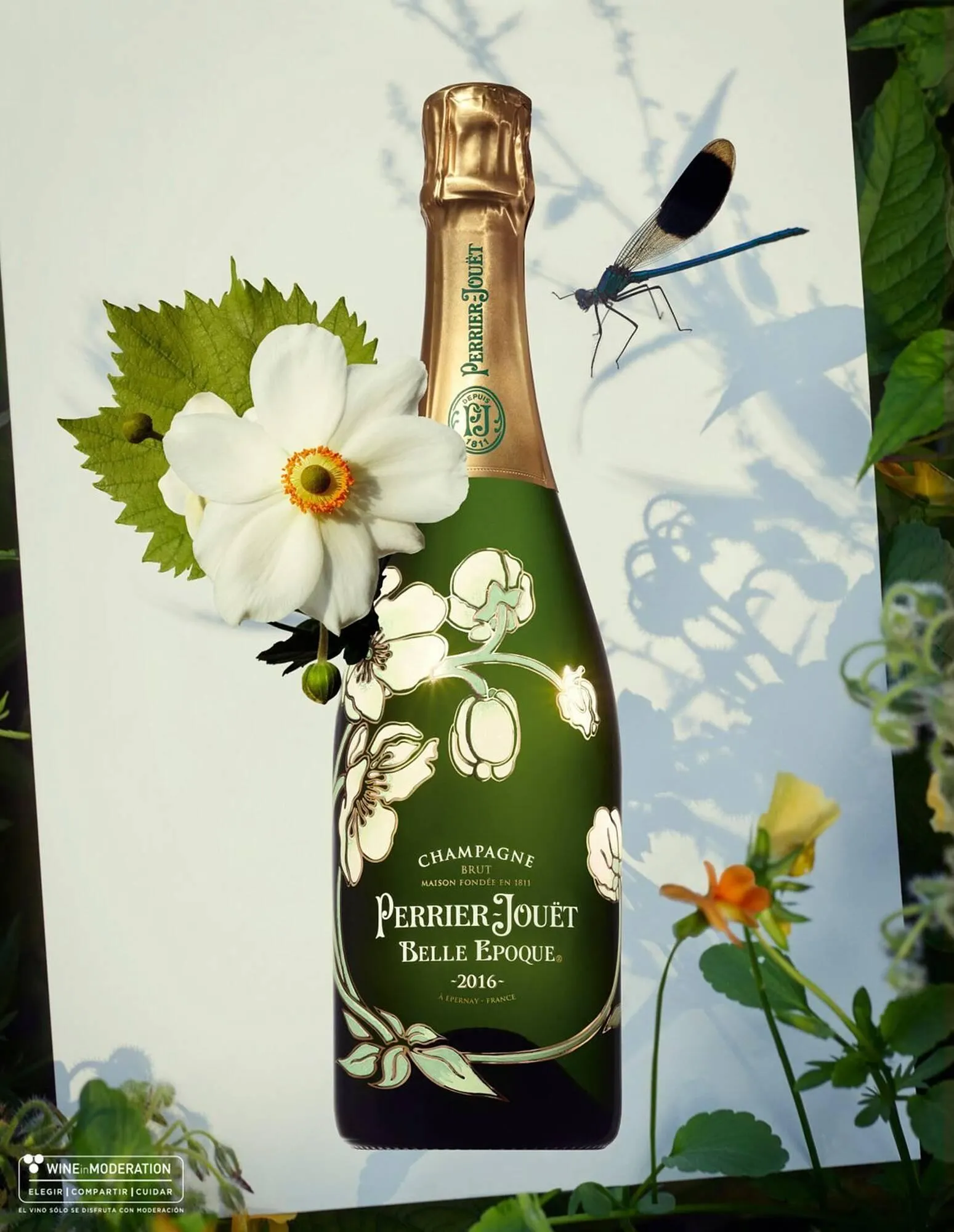 Catálogo de Catálogo El Corte Inglés 19 de noviembre al 31 de enero 2026 - Página 142