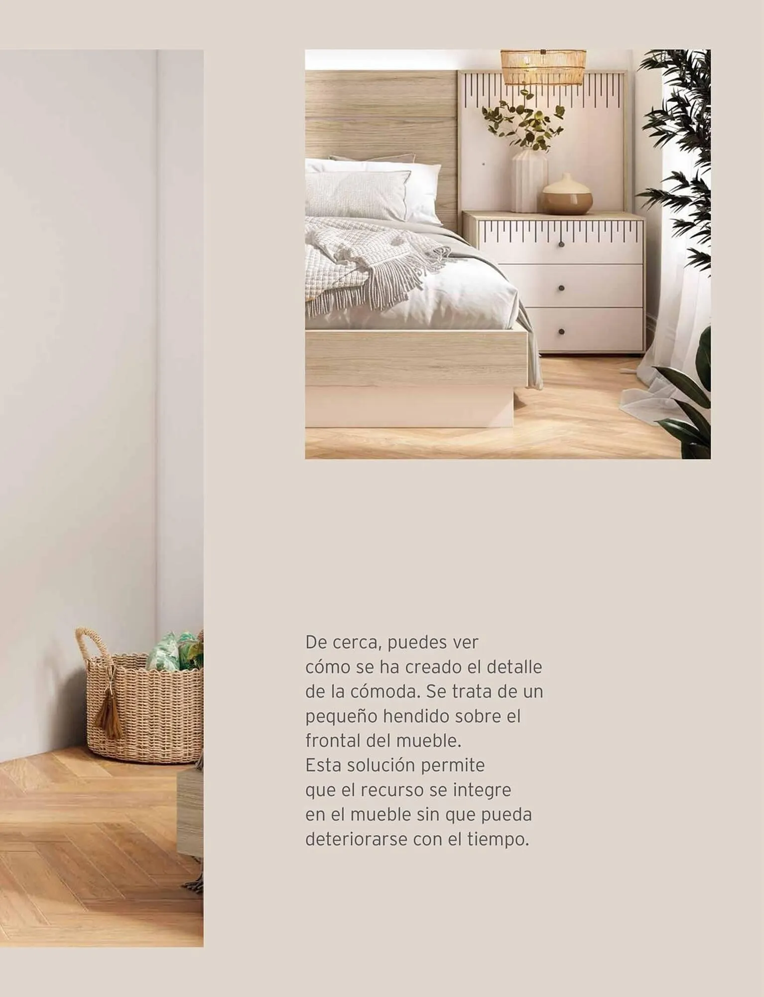 Catálogo de Catálogo Kibuc 5 de enero al 31 de diciembre 2026 - Página 29