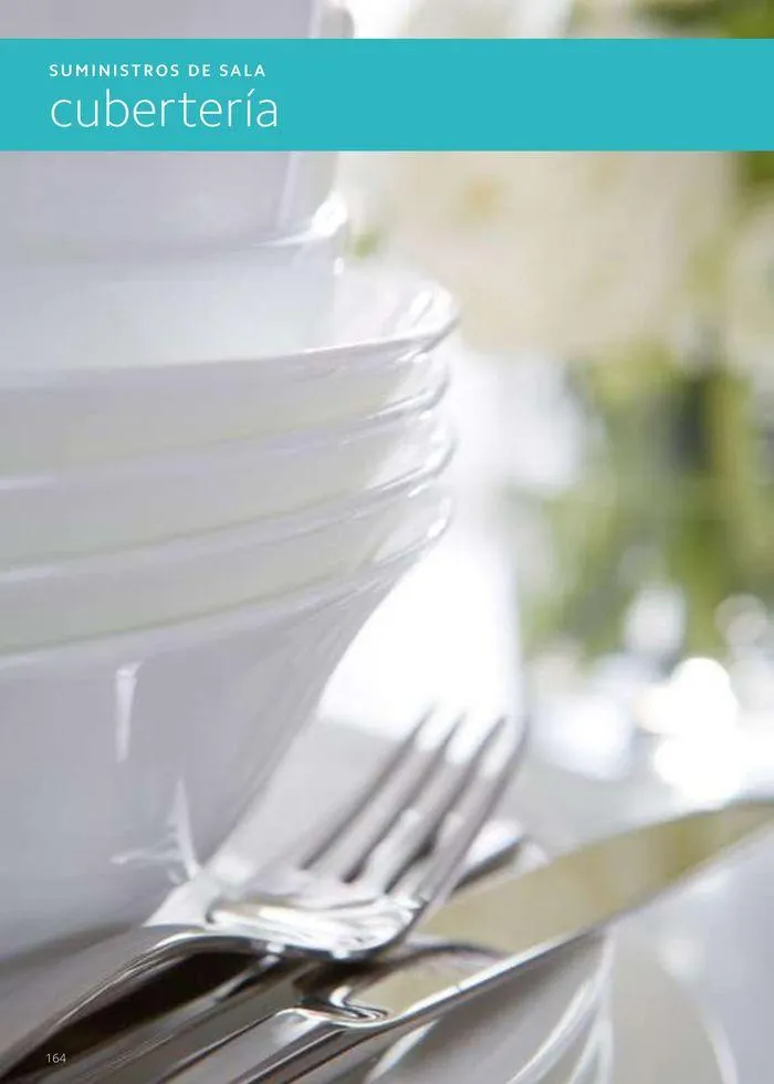 Catálogo de Equipamiento y suministros 23 de julio al 30 de noviembre 2024 - Página 164