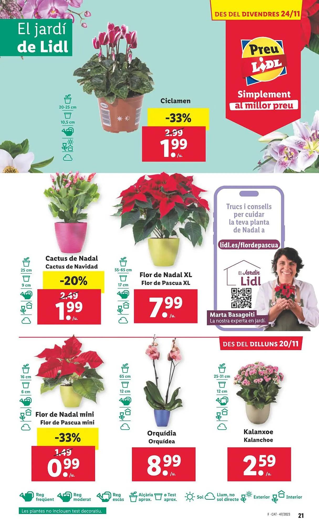 Catálogo de Folleto Lidl 13 de noviembre al 27 de noviembre 2023 - Página 47