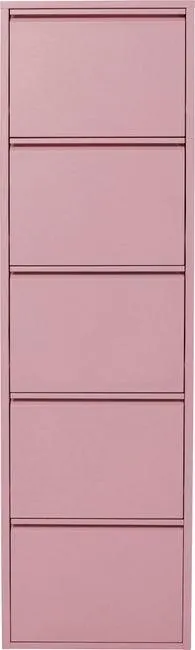 Zapatero de acero rosa 5 compartimentos 50x173 cm