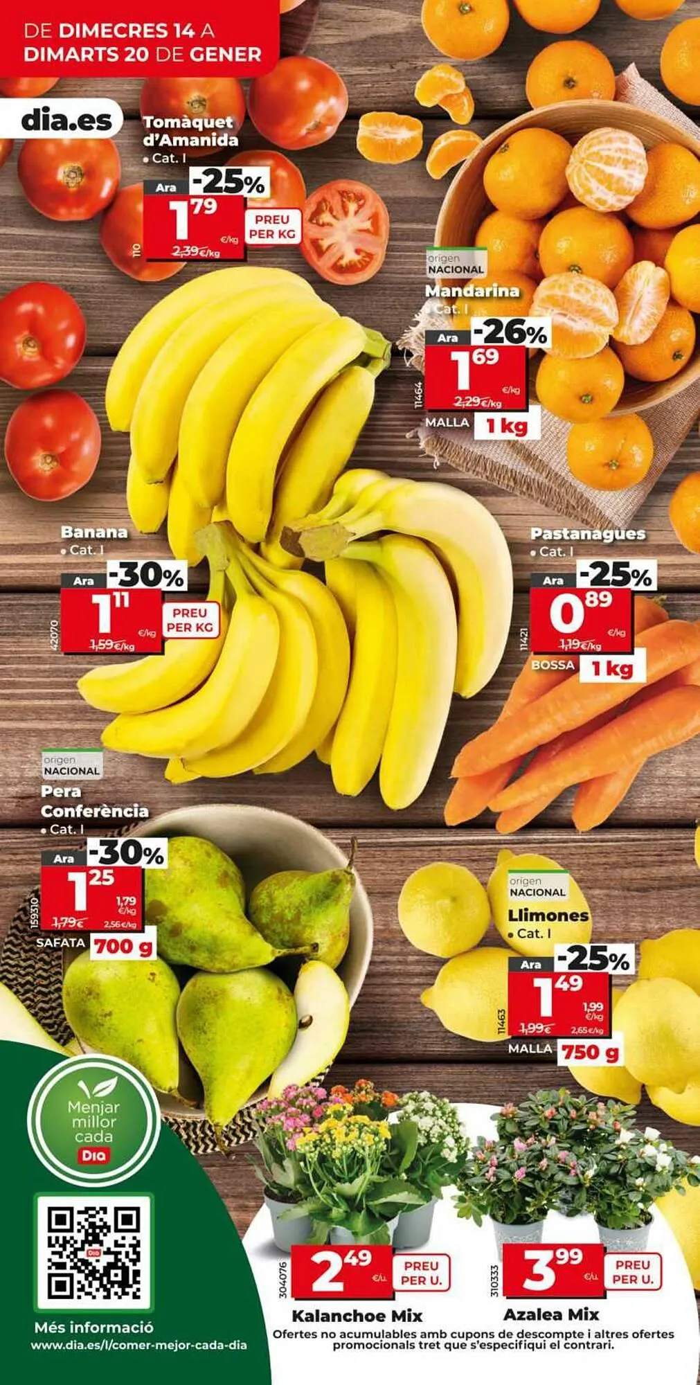 Catálogo de Folleto Dia 14 de enero al 20 de enero 2026 - Página 4