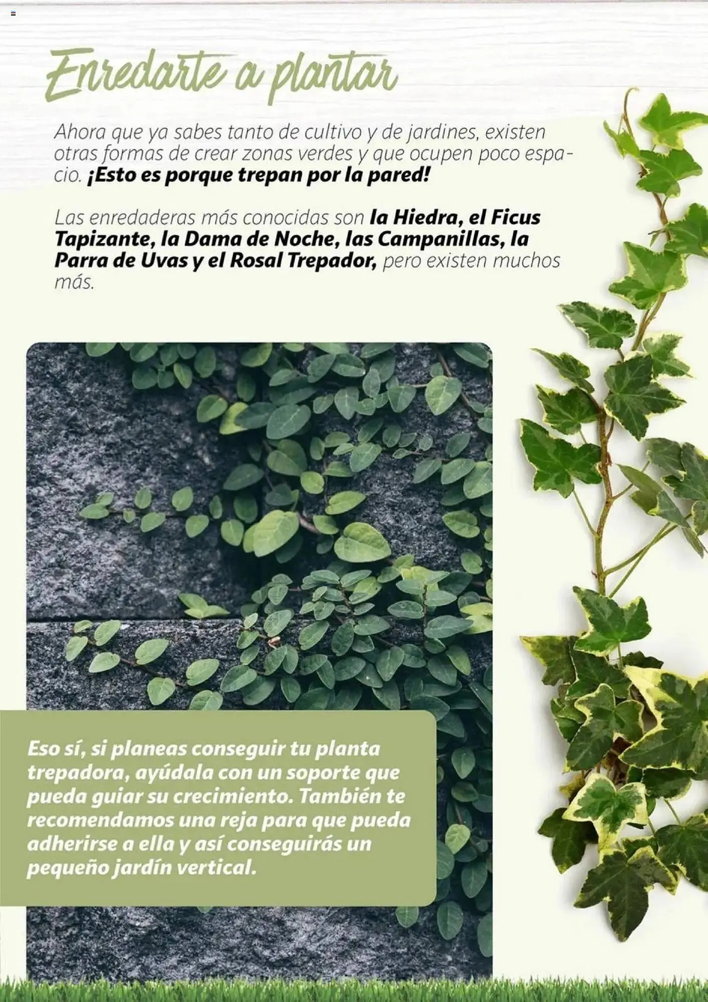 Catálogo de Folleto Alcampo 11 de febrero al 31 de diciembre 2025 - Página 16