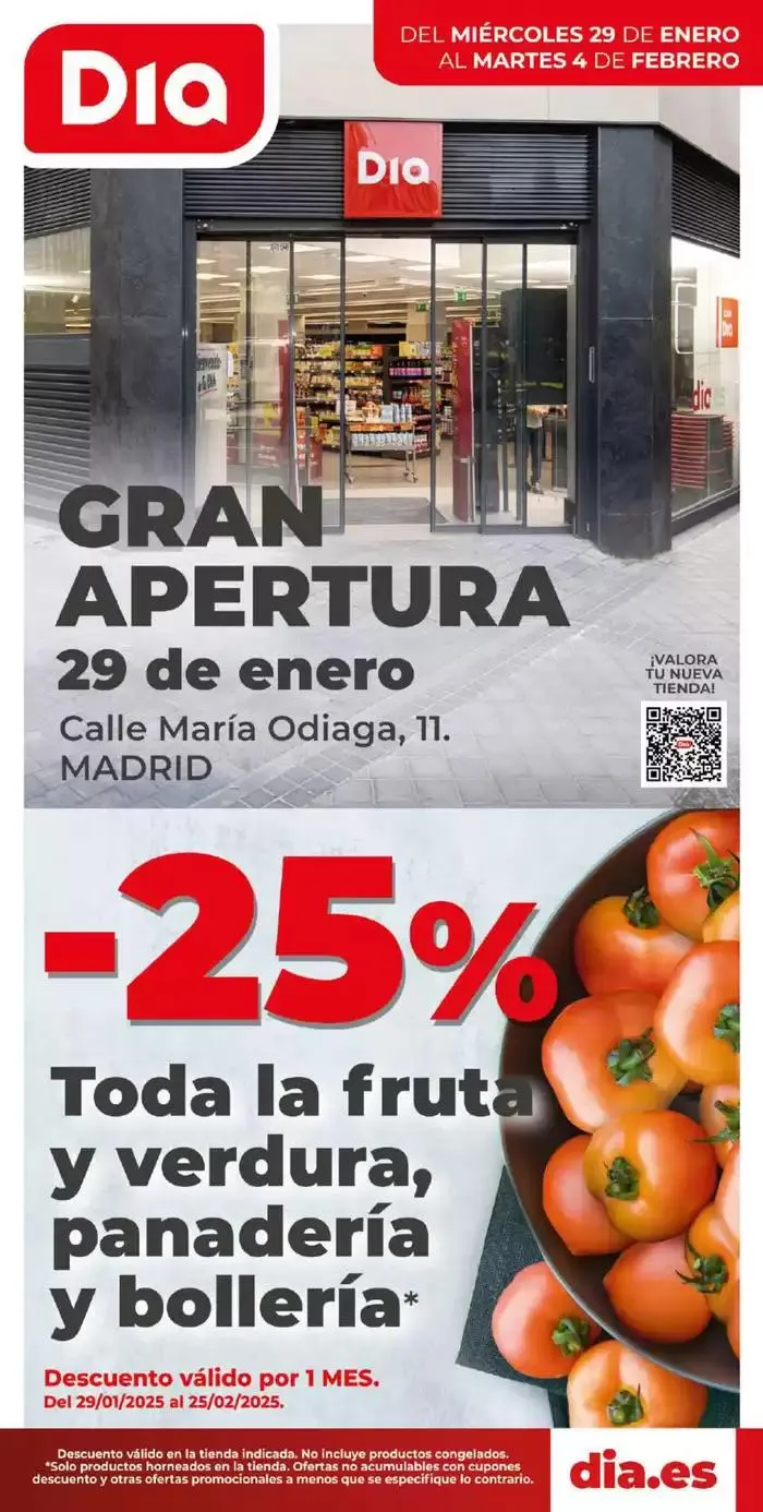 Gran apertura Dia del 29/01 al 4/02 - 1