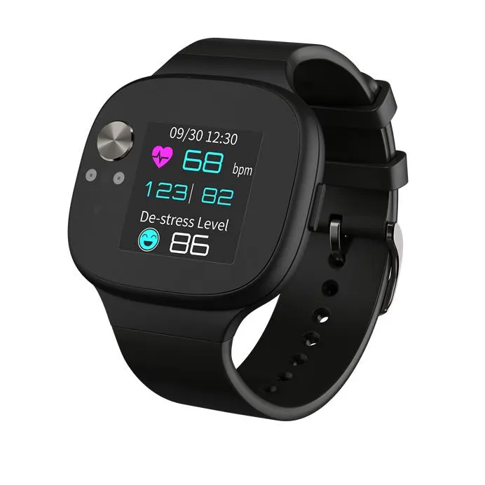 ASUS VivoWatch BP (HC-A04)