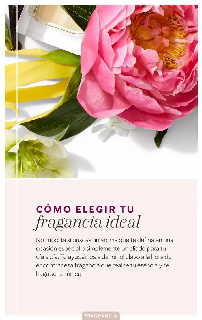 Catálogo de Catálogo Interactivo - Fragancias 11 de febrero al 11 de agosto 2025 - Página 3