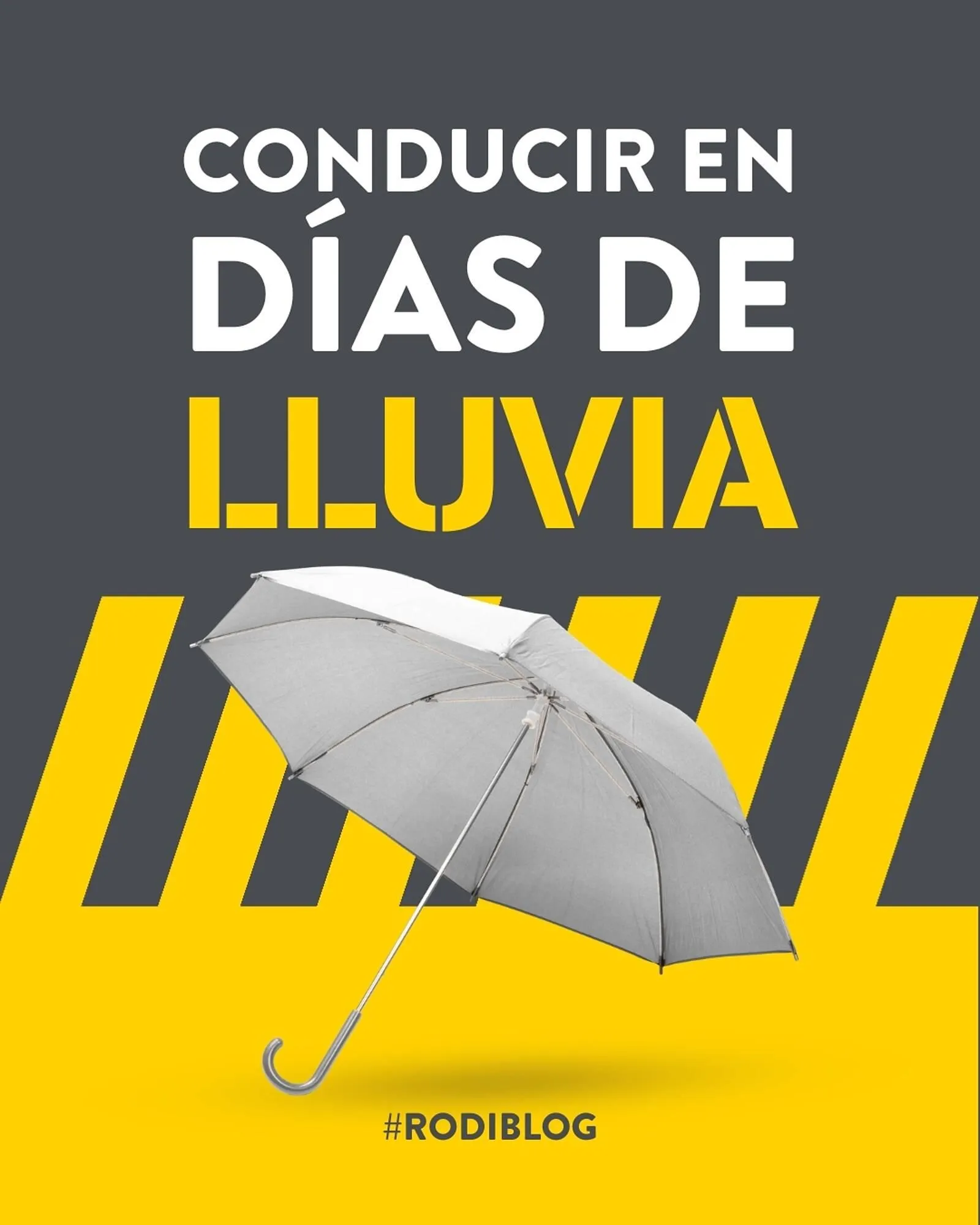 Catálogo de Folleto Rodi 11 de noviembre al 17 de noviembre 2025 - Página 1