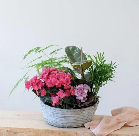 Arreglo Tropical con Begoña