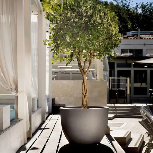 Jardinera Orione 40x30 cm