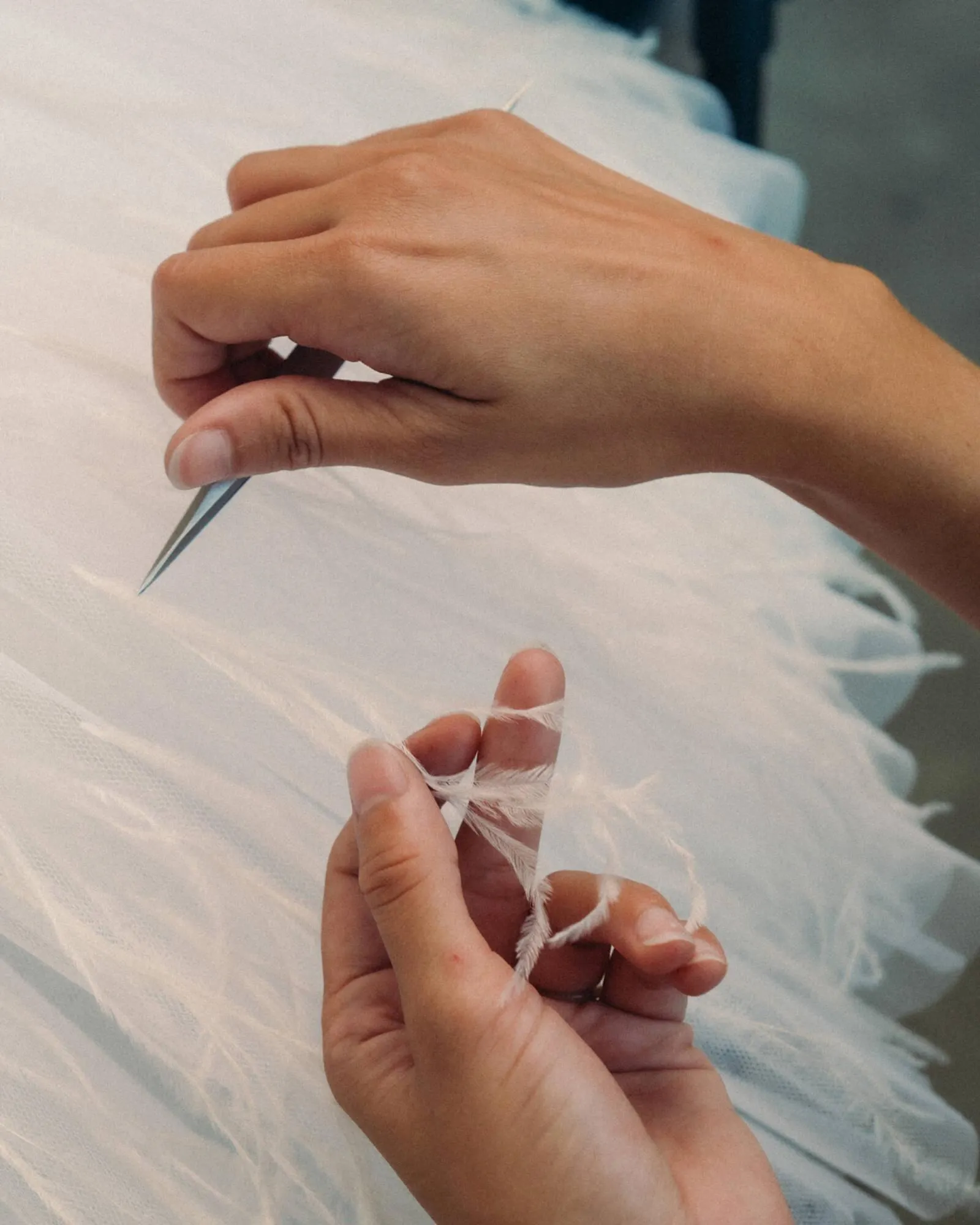 Catálogo de Folleto Chanel 29 de septiembre al 8 de noviembre 2025 - Página 3