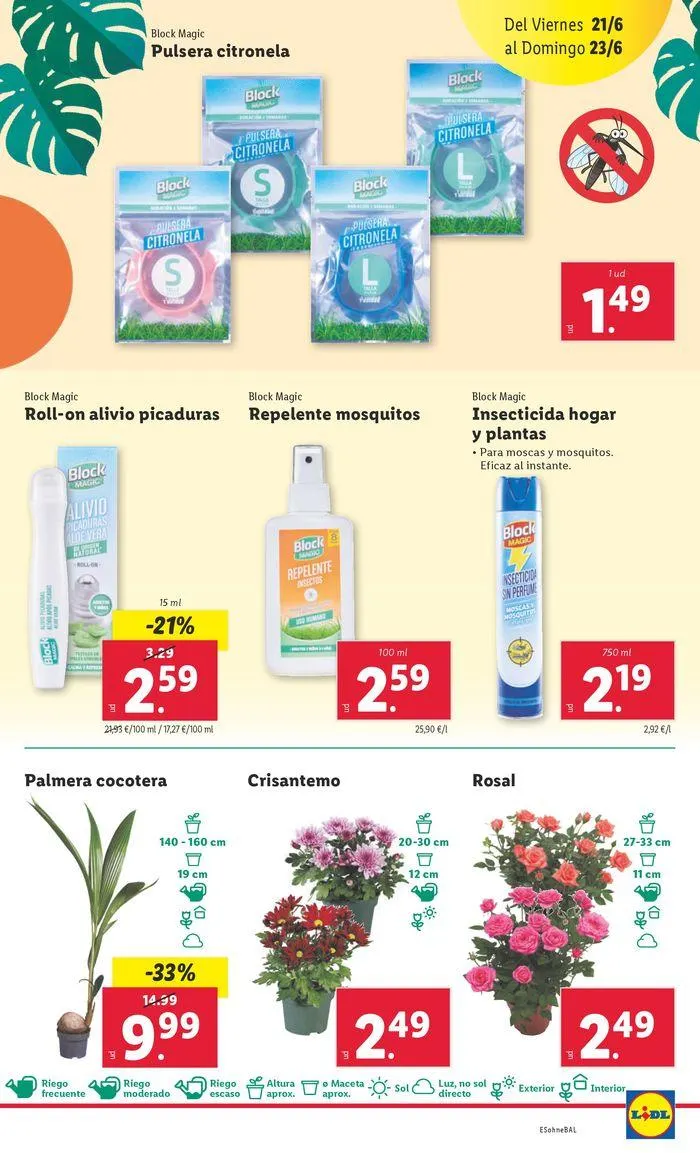 Catálogo de Bazar Lidl 17 de junio al 23 de junio 2024 - Página 37