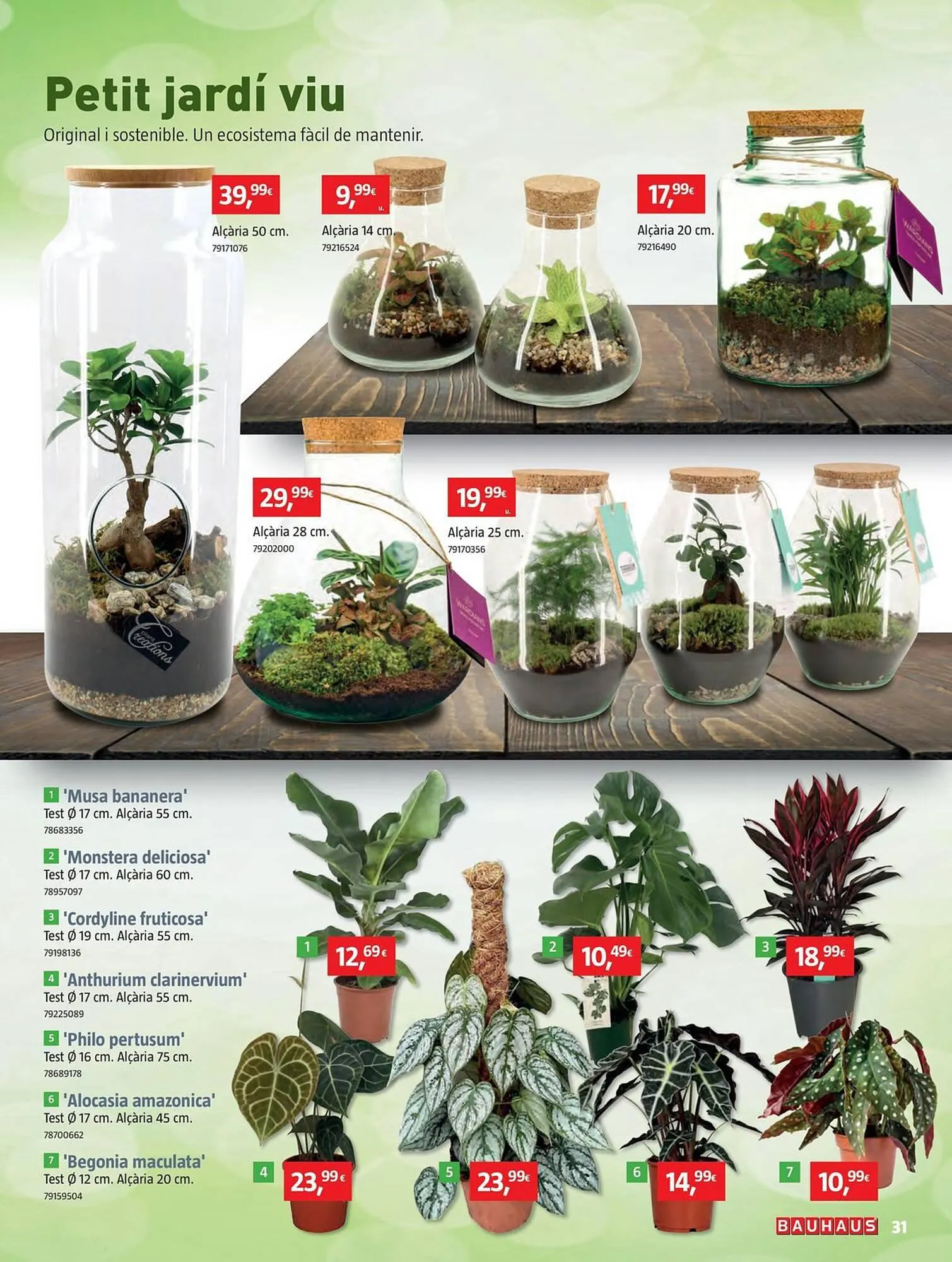Catálogo de Folleto Bauhaus 2 de enero al 24 de enero 2024 - Página 31