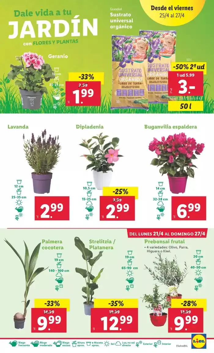 Catálogo de ¡Bazar Lidl! Ofertas válidas del 21/04 al 27/04 21 de abril al 27 de abril 2025 - Página 7