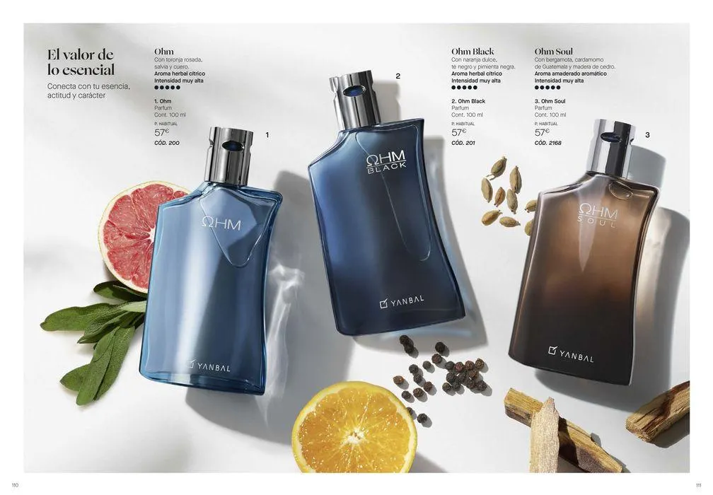 Catálogo de CATÁLOGO ANUAL 2024 12 de junio al 31 de diciembre 2024 - Página 56