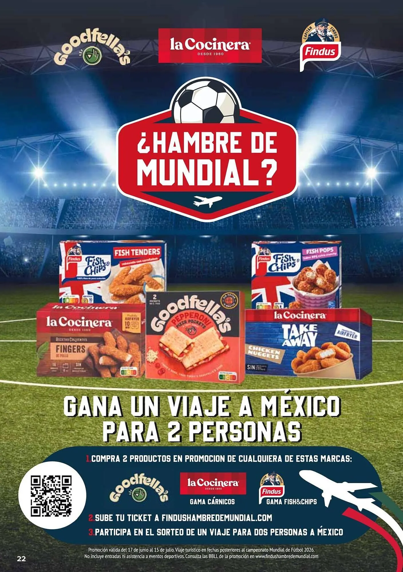 Catálogo de Folleto Carrefour 11 de junio al 24 de junio 2026 - Página 22