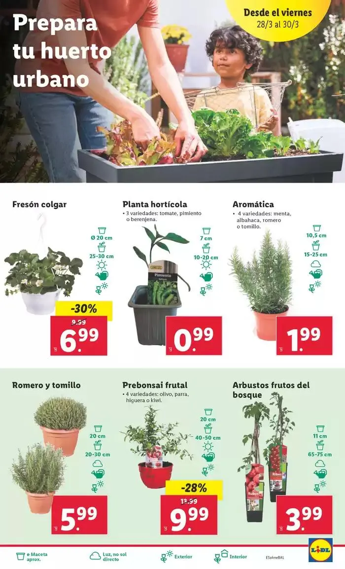 Catálogo de ¡Bazar Lidl! Ofertas válidas del 24/03 al 30/03 24 de marzo al 30 de marzo 2025 - Página 9